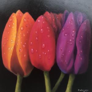 TULIPS oil painting, $250