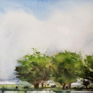 SUMMER SKIES 8"x11" watercolor, $375 matted and framed