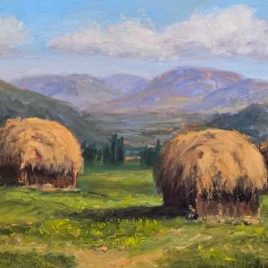 South Park Haystacks