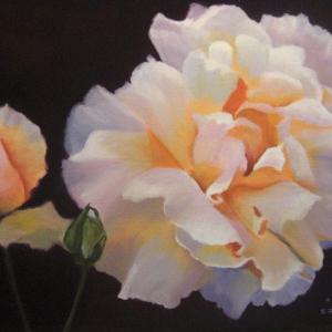 ROSE oil painting, $400