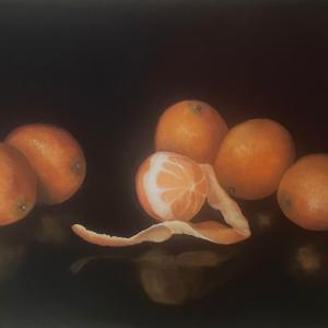 6 ORANGES oil painting by Sandra Williams