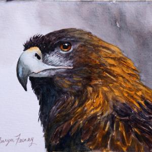 AMERICA'S OTHER EAGLE