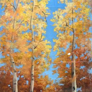ASPENS