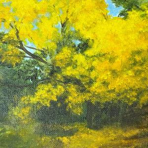 Beverly Roth