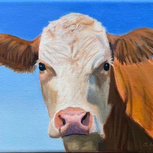 BROWN COW