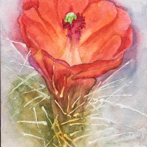 CACTUS CUP 5"x7" watercolor, $105