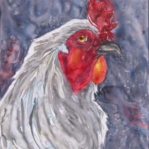 CHEEKY ROOSTER, watercolor on Yupo