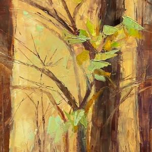 CHOKECHERRY AND SYCAMORE