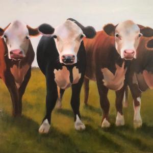 COWS oil painting, $370