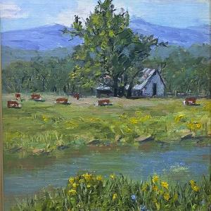 A Day at the Ranch