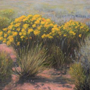 RABBIT BRUSH 8"x10" oil painting, $350