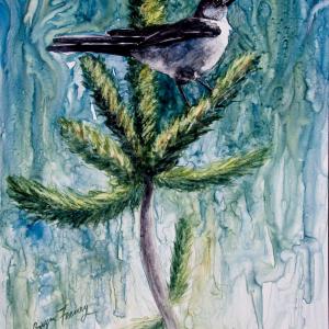 GRAY JAY, watercolor on Yupo