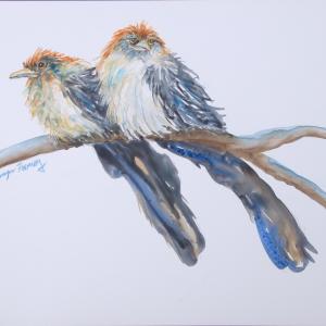 GUIRA CUCKOOS, watercolor on Yupo