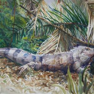 IGUANA