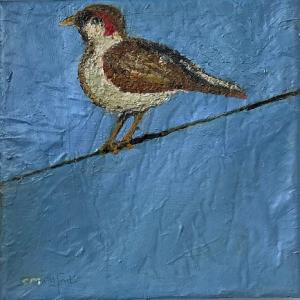 Like a Bird on a Wire