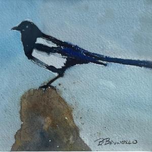 Magpie