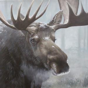 MOOSE BREATH 20"x16" oil painting