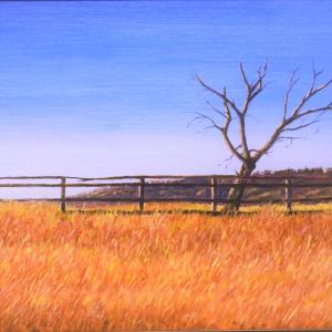 Morning Stretch, 16"x24" oil on board, $800