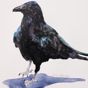 Raven Asurance - SOLD