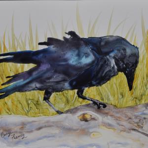 RAVEN WITH INTENT, watercolor on Yupo