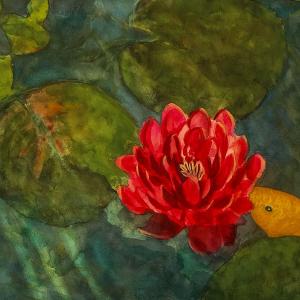 Red Lily with Koi