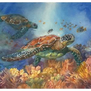 GLIDING THRU THE REEF 11"x15" watercolor
