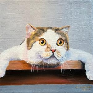 THE CAT