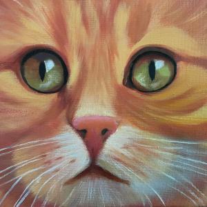 THE CAT oil painting by Sandra Williams