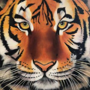 TIGER oil painting, $500