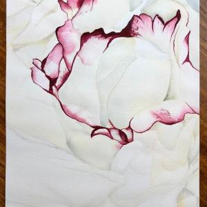 WHITE PEONY CLOSE UP, 12"x16" watercolor $290